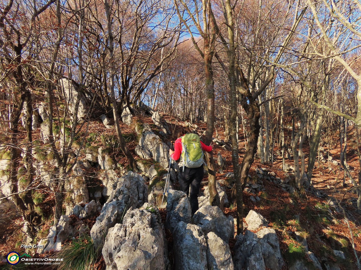 39 Anche tra roccette nel bosco.JPG